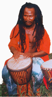 Djembe, Djembe 9 cali, Djembe 10 cali, Djembe 11 cali, Djembe 12 cali, Djembe 13 cali, Djemba 14 cali